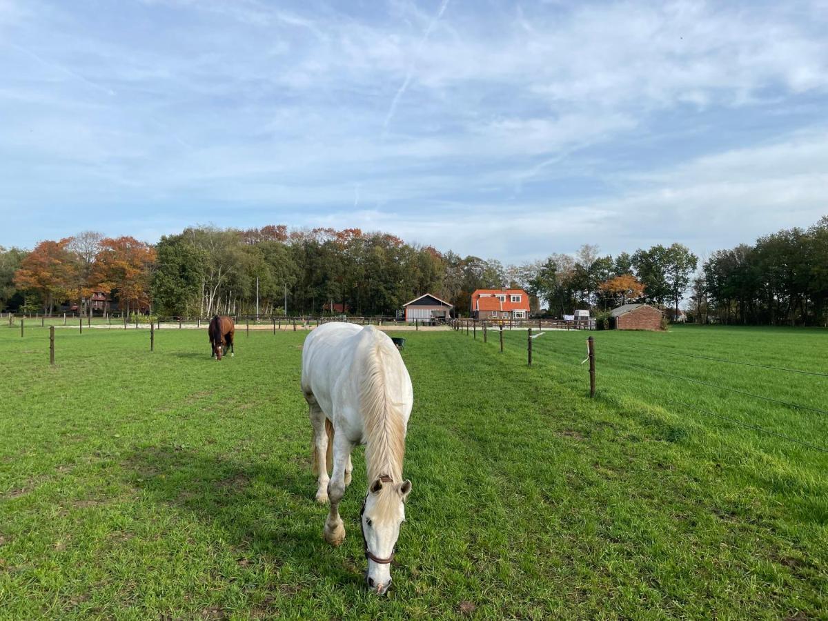 Bed & Breakfast Hoeve Happiness - Ontbijt Inbegrepen - Wellness Aanwezig Voorthuizen Exteriér fotografie
