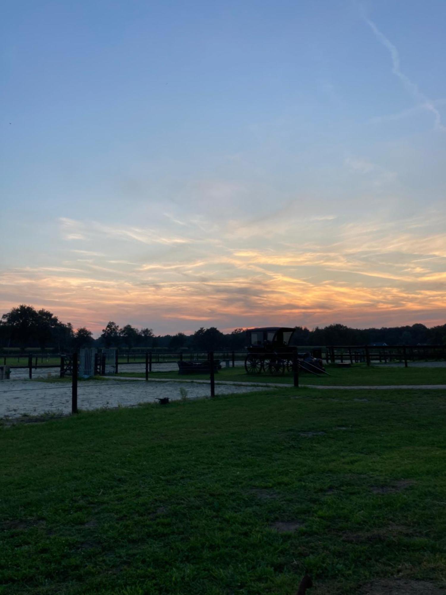 Bed & Breakfast Hoeve Happiness - Ontbijt Inbegrepen - Wellness Aanwezig Voorthuizen Exteriér fotografie