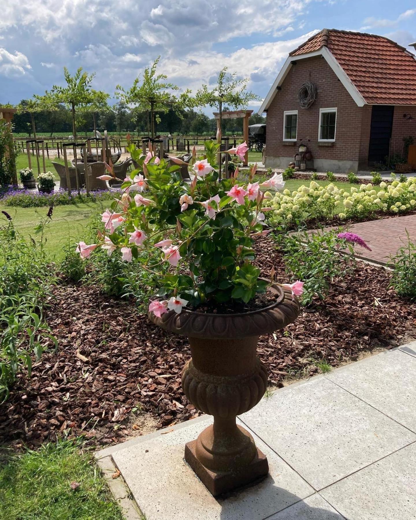 Bed & Breakfast Hoeve Happiness - Ontbijt Inbegrepen - Wellness Aanwezig Voorthuizen Exteriér fotografie
