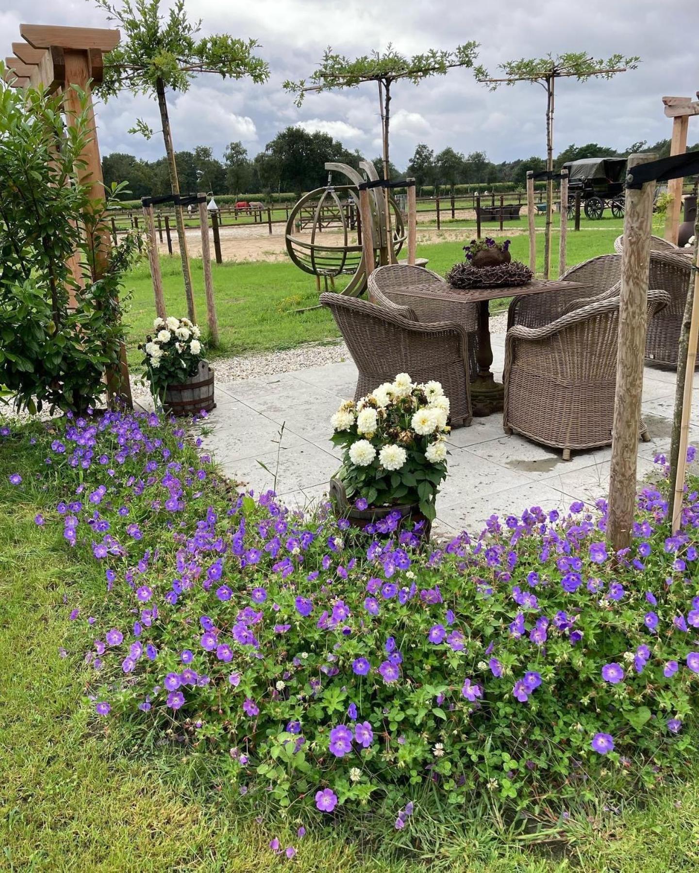 Bed & Breakfast Hoeve Happiness - Ontbijt Inbegrepen - Wellness Aanwezig Voorthuizen Exteriér fotografie