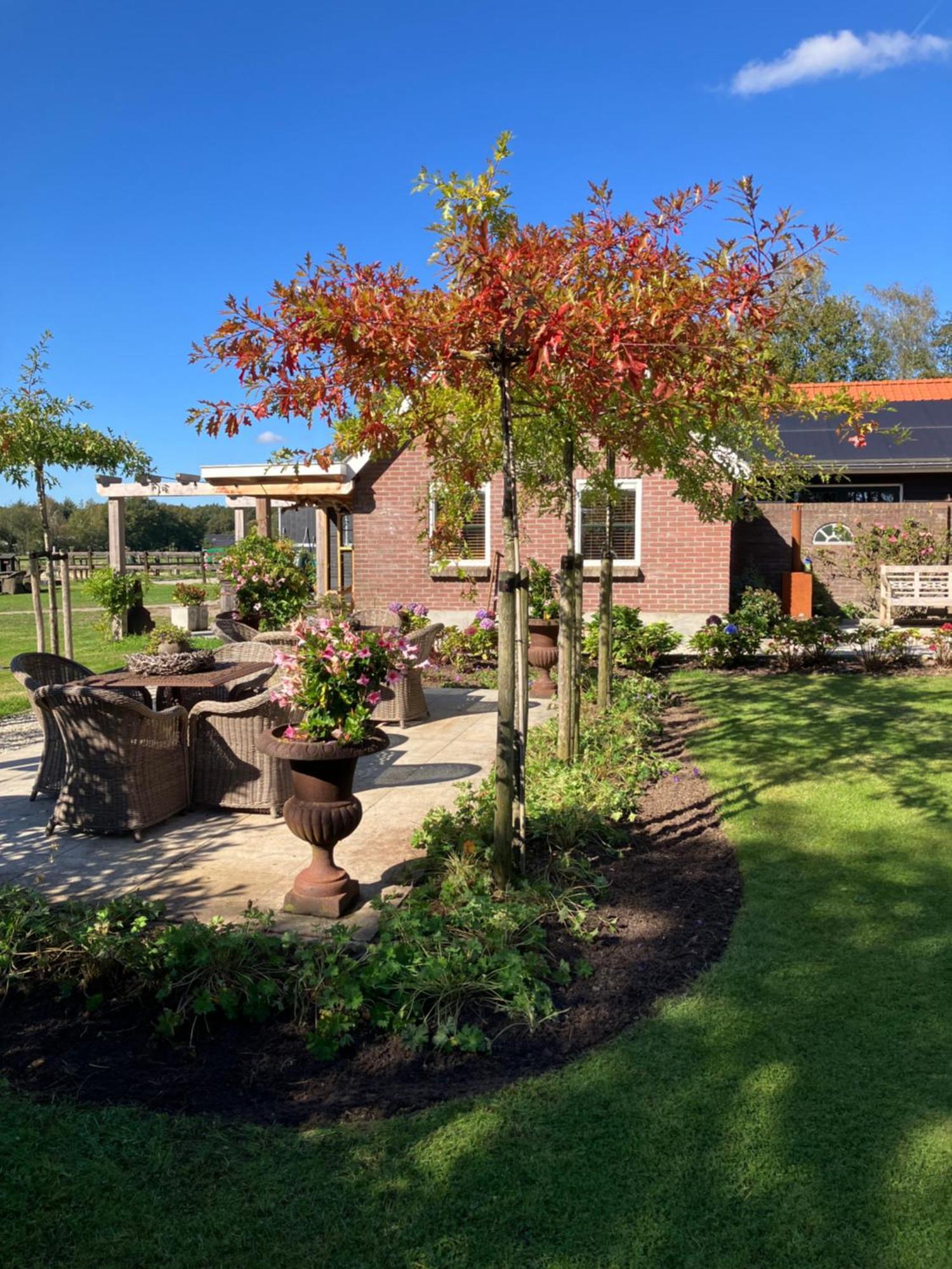 Bed & Breakfast Hoeve Happiness - Ontbijt Inbegrepen - Wellness Aanwezig Voorthuizen Exteriér fotografie